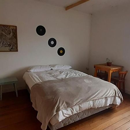 Casa Kila Hostel Valdivia Extérieur photo